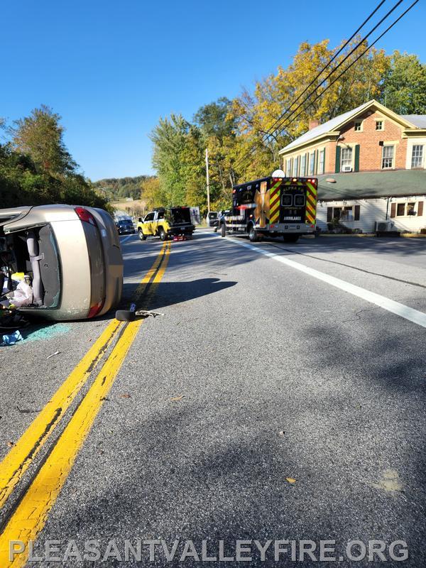 Working Rescue 6-15 in front of buds in silver run 10/15/22